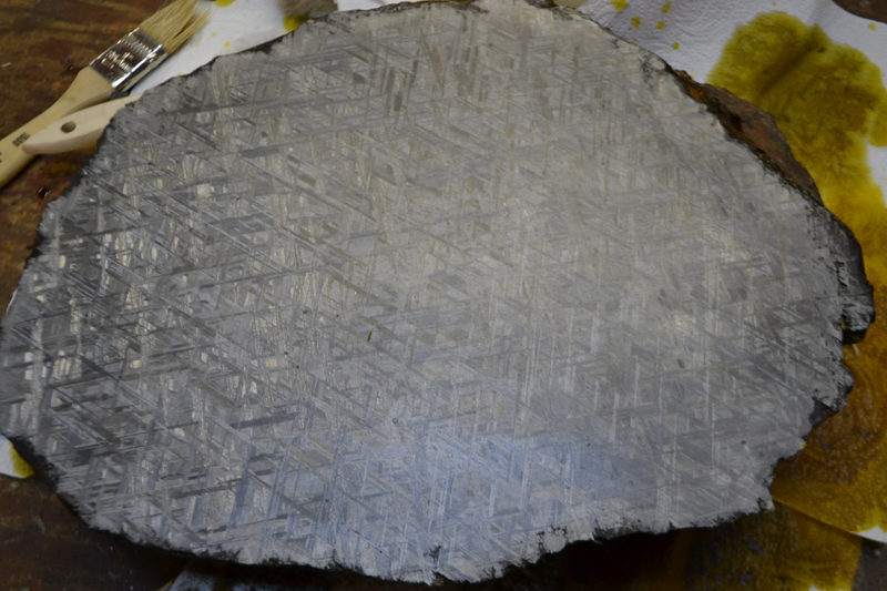 Close-up of a tree cross-section revealing growth rings.